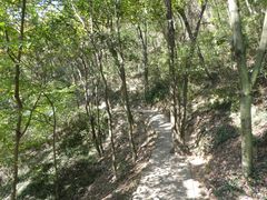 -上海佘山国家森林公园天马山园