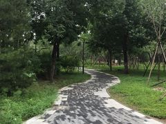 -回龙观体育文化公园