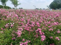 -苏州湾体育公园