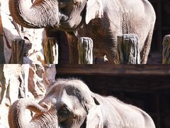-长鹿旅游休博园