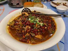 毛血旺-金狮麟·新豫菜(金码大厦店)