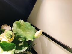 -茶叁酒肆·楚味江湖(菱角湖店)