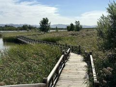 -野鸭湖国家湿地公园