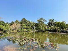 -中国科学院西双版纳热带植物园
