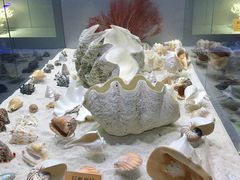 -福州罗源湾海洋世界旅游区