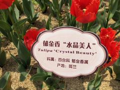 -江南大学(蠡湖校区)