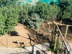 -青藏高原野生动物园