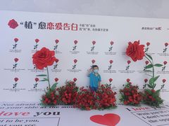 -奥园广场(广州番禺福德路店)