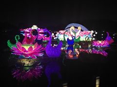 -映月湖公园