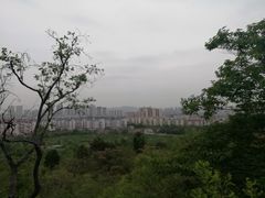 -府君山公园