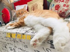 -一片田陶艺工作室