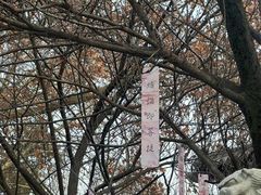 -西安大兴善寺