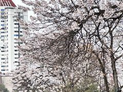 -红星桥(地铁站)