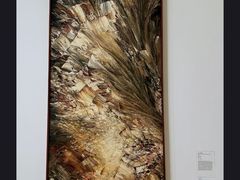 -旧金山现代艺术博物馆