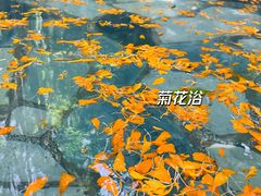 -湖泉半山温泉