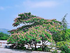-开元溶洞
