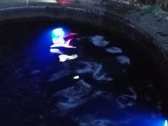 -达蓬山温泉