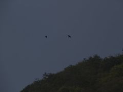 -狼牙山风景区