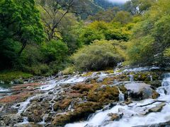 -叠溪松坪沟景区