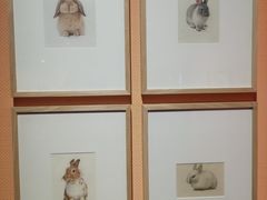 -江苏省美术馆(长江路新馆)