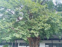 -苏州文庙(姑苏区)