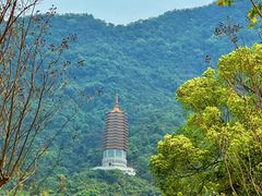 -深圳仙湖植物园