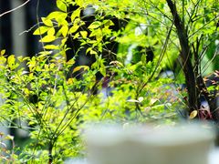 -知亘茶食