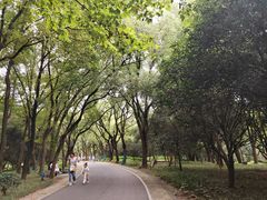 -东湖落雁景区