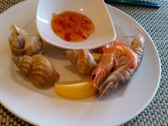 冷盘-粤海喜来登酒店·盛宴海鲜牛排自助餐厅(天河城店)