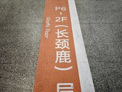 -上海虹桥国际机场