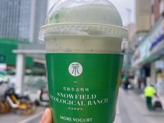 -茉酸奶(春熙路店)