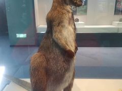 -国家自然博物馆