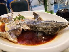 鲟鱼-快乐海鲜城(虎泉街店)