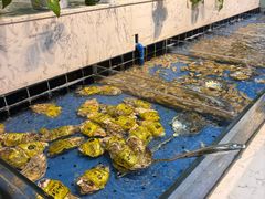 -川骄海鲜自助(王府井奥莱UP TOWN店原世界之花店)
