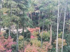 -法云古村