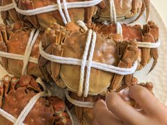 -品鲜村农家菜·阳澄湖大闸蟹(总店)