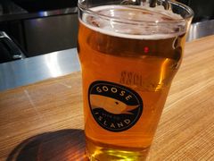 野鹅ipa-Goose Island Brewhouse鹅岛精酿啤酒酿造工坊餐厅