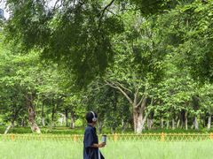 -艾溪湖湿地公园