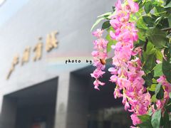 -北国商城