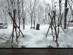 -北海道厅旧本厅舍(旧本庁舎)