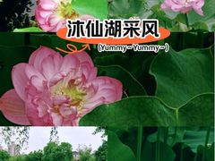 -沐仙湖湿地公园