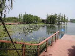 -贡湖湾湿地公园