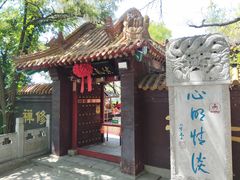 -高尔山公园