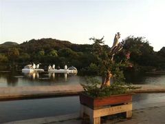 -白马涧龙池景区