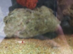 -繁花足道(梅江店)