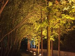 -新湖明珠城