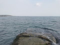 -八大关景区