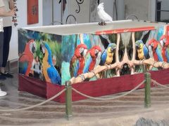 -南戴河国际娱乐中心