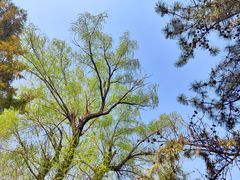 -周恩来同志少年读书旧址