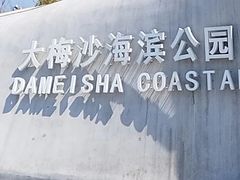 -大梅沙海滨公园